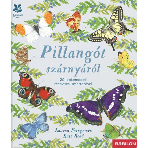 Pillangót szárnyáról – 20 lepkemodell részletes ismertetővel