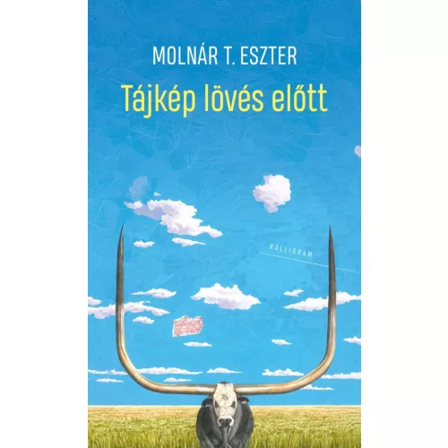 Tájkép lövés előtt