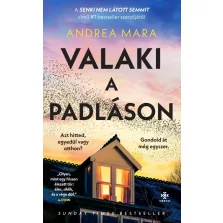 Valaki a padláson
