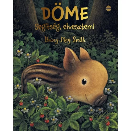 Döme - Segítség, elvesztem!