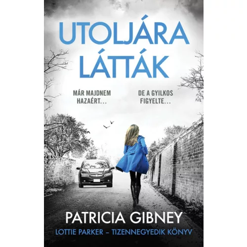 Utoljára látták - Lottie Parker 14.