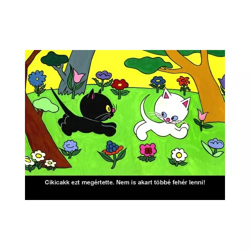 Cikicakk, a fekete cica - Diafilm