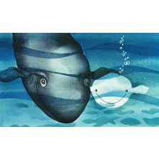 Jegesvízi Bálna Bálint - Diafilm