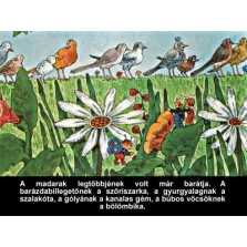 A nagyravágyó feketerigó - Diafilm