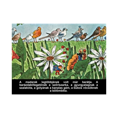 A nagyravágyó feketerigó - Diafilm