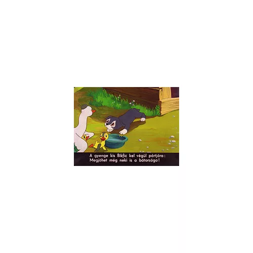 Kutyakötelesség - Diafilm