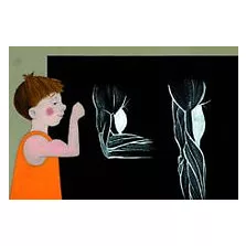 Testünk felépítése - Diafilm