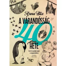 A várandósság 40 hete