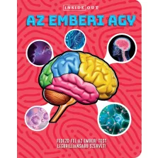 Az emberi agy