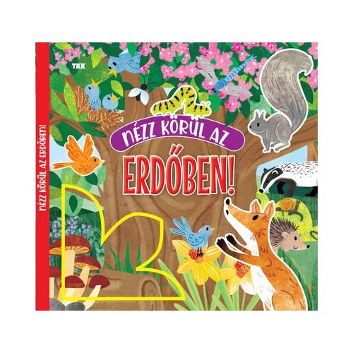 Nézz körül az erdőben!