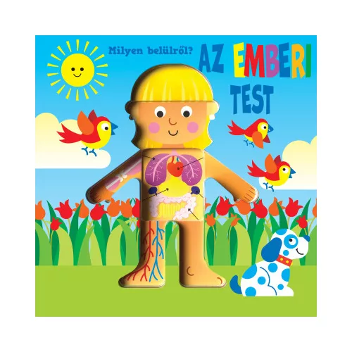 Milyen belülről - Az emberi test