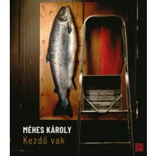 Kezdő vak