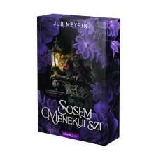 Sosem menekülsz - Éldekorált kiadás