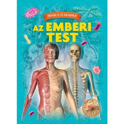Olvasd el és válaszolj! - Az emberi test
