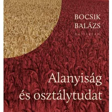 Alanyiság és osztálytudat