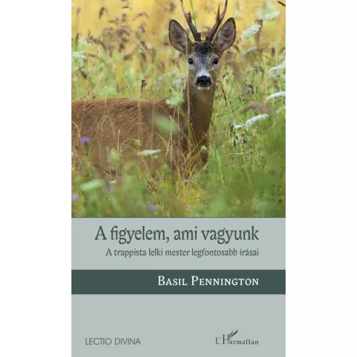 A figyelem, ami vagyunk
