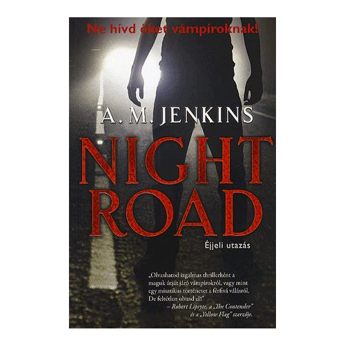 Night road - éjjeli utazás