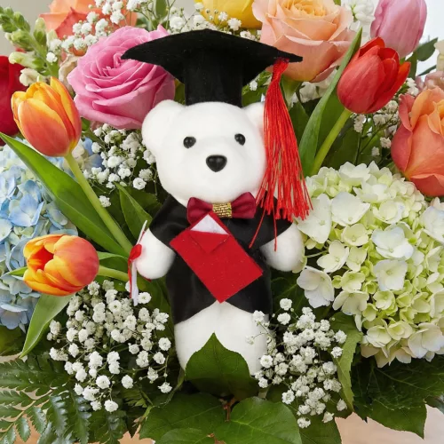 Ajándék - Diplomás maci - 13 cm