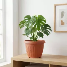 Műanyag virágcserép - terrakotta - 25 cm