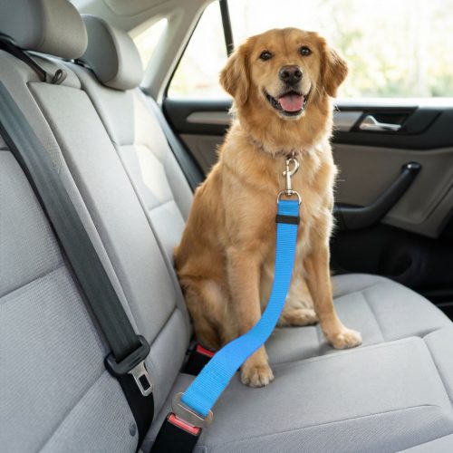 Autós póráz biztonsági övhöz - 45-70 cm, 3 szín
