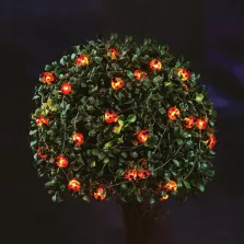   Szolár LED fényfüzér - katicabogár - 2,4 m - 25 LED - melegfehér