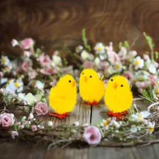   Húsvéti dekoráció - csibe szett - sárga - 6,7 x 5 cm - 3 db / csomag