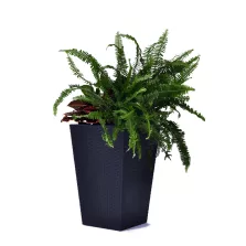 Keter Rattan kaspó S 23,6 l grafit