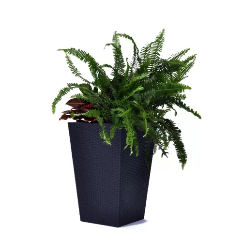 Keter Rattan kaspó S 23,6 l grafit