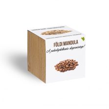 Földimandula - Tigrismogyoró - növényem fa kockában