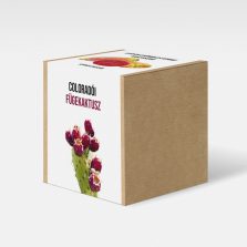 Coloradoi fügekaktusz növény nevelő szett