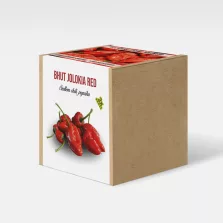   Szellem chili - Bhut Jolokia Red paprika növény nevelő szett
